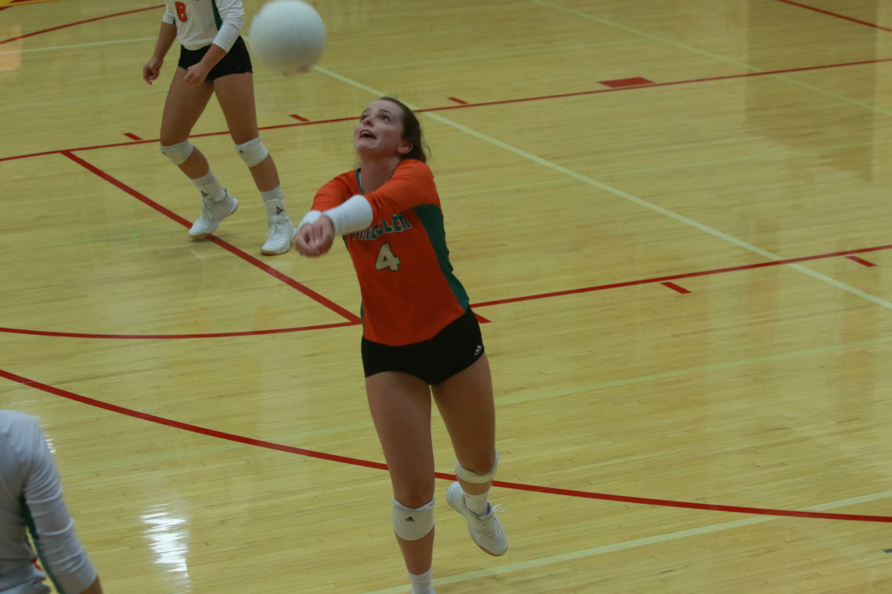Gallery: Girls volleyball - Wheeler at Andrean